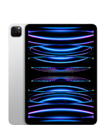 iPad Pro รุ่น 11 นิ้ว (รุ่นที่ 4)