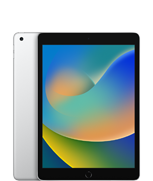 iPad (รุ่นที่ 9)