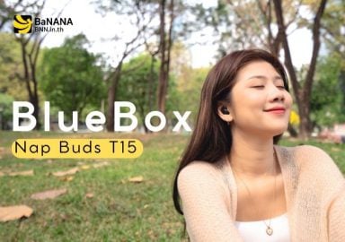Blue Box Nap Buds