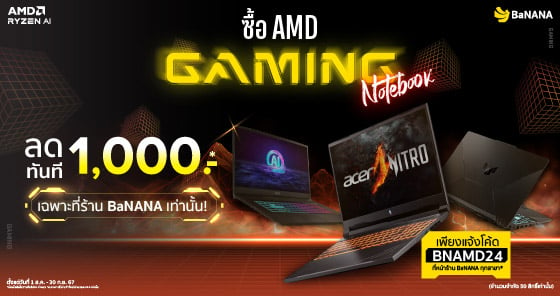 AMD Gaming Notebook